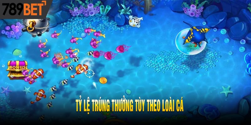 Mego Fishing - Jili Vua Đánh Cá Tất Bật Hốt Tiền